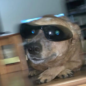 Meet your Posher, Jack demars